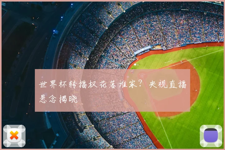 世界杯转播权花落谁家?央视直播悬念揭晓