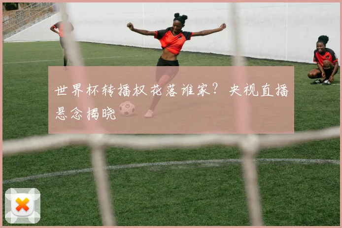 世界杯转播权花落谁家?央视直播悬念揭晓